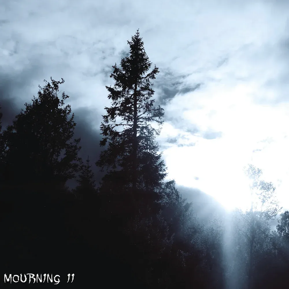 Lost In Desolation - Mourning II Cover