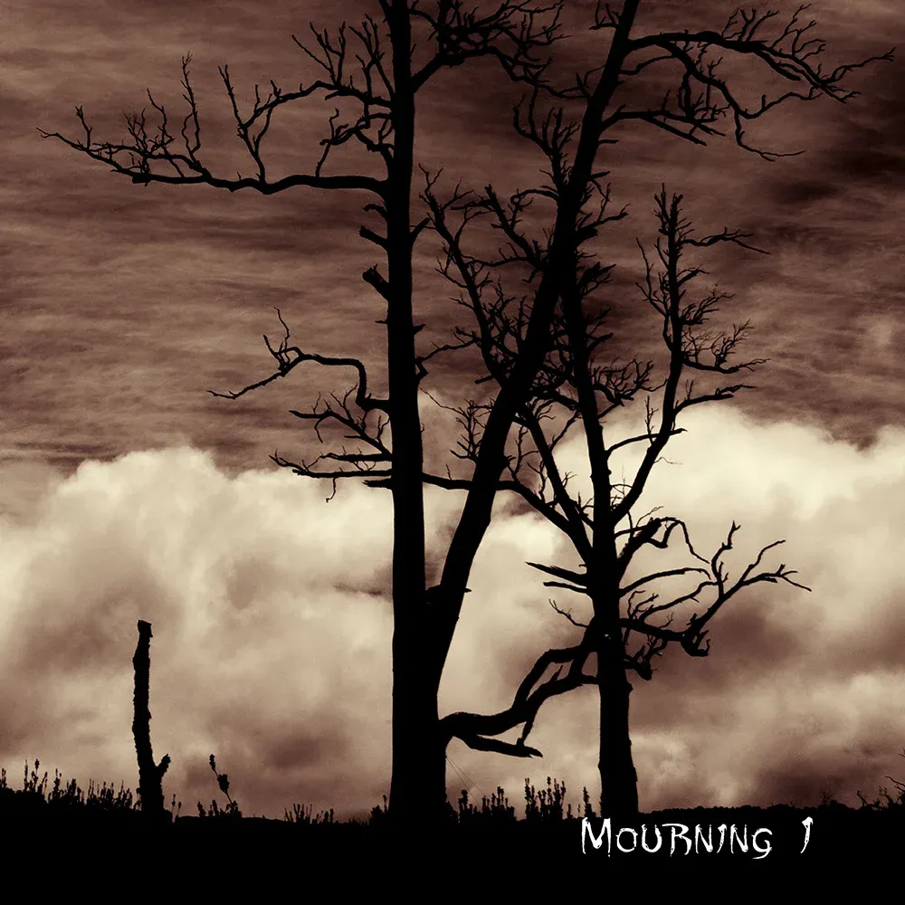 Lost In Desolation - Mourning I Cover